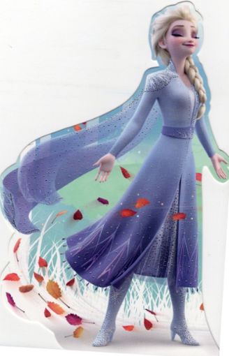 Picture of BIRTHDAY CARD - BLANK INSIDE - ELSA FROZEN